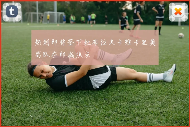 热刺即将签下杜布拉夫卡维卡里奥离队在即成焦点